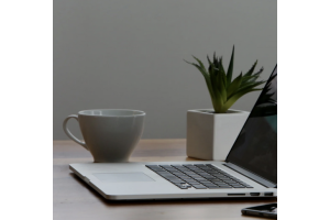 laptop, a plant and a tea cup on a desk