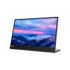 Lenovo L15 15.6" Full HD Portable Monitor 60Hz 6ms USB Type-C Grey