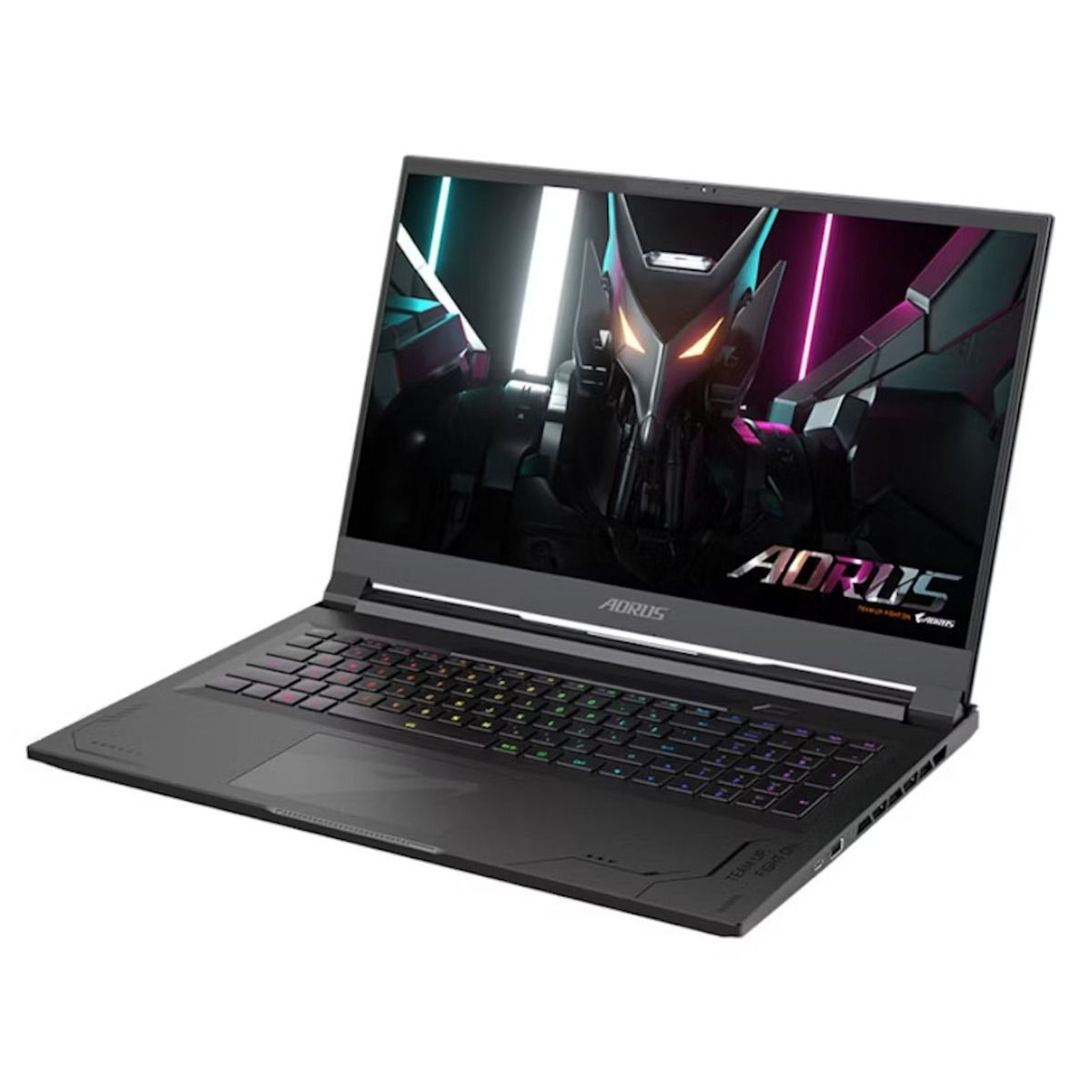 Gigabyte AORUS 17X Gaming Laptop 17.3" Intel Core i9 32GB RAM 2TB SSD RTX 4090