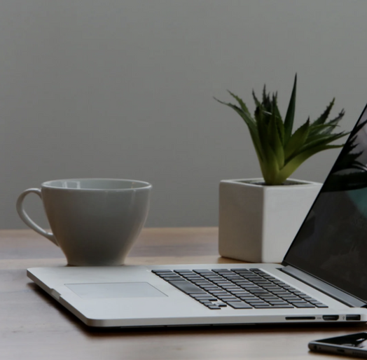 laptop, a plant and a tea cup on a desk